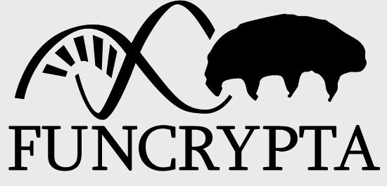 FUNCRYPTA Logo